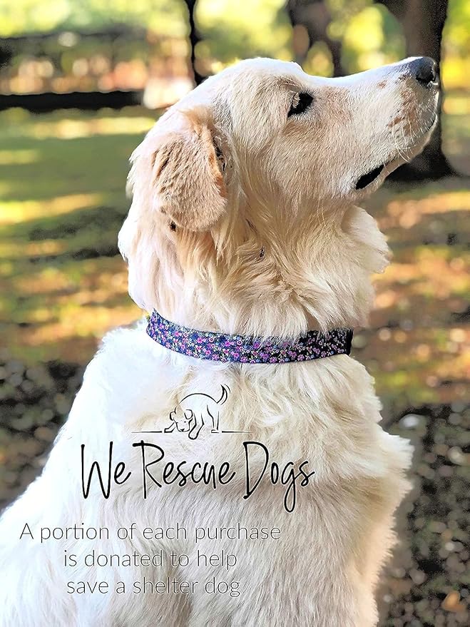 Lucky Love Dog Martingale Collar and Leash Set, Premium No Slip Collar for Small Dogs, Flower Martingale Collar for Girl Dogs, Great for Whippets, Greyhounds, and More (Primrose, Small - Combo)