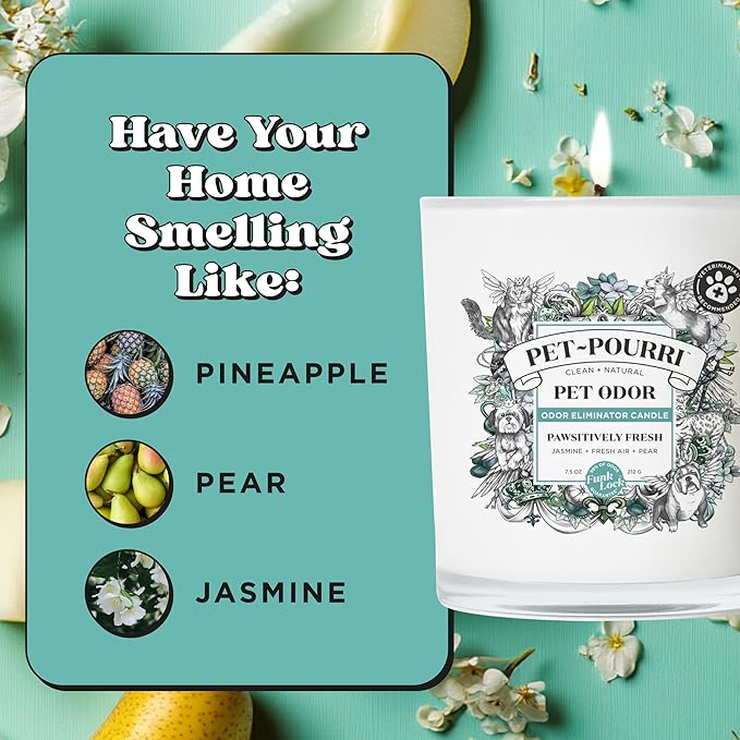 Pet-Pourri Pawsitively Fresh Pet Deodorizer Candle – Pet Safe Plant Based Ingredients & Wax – Vet Approved – Aromatherapy & Air Freshener for Pet Odor – Scented with Pineapple, Jasmine, & Pear