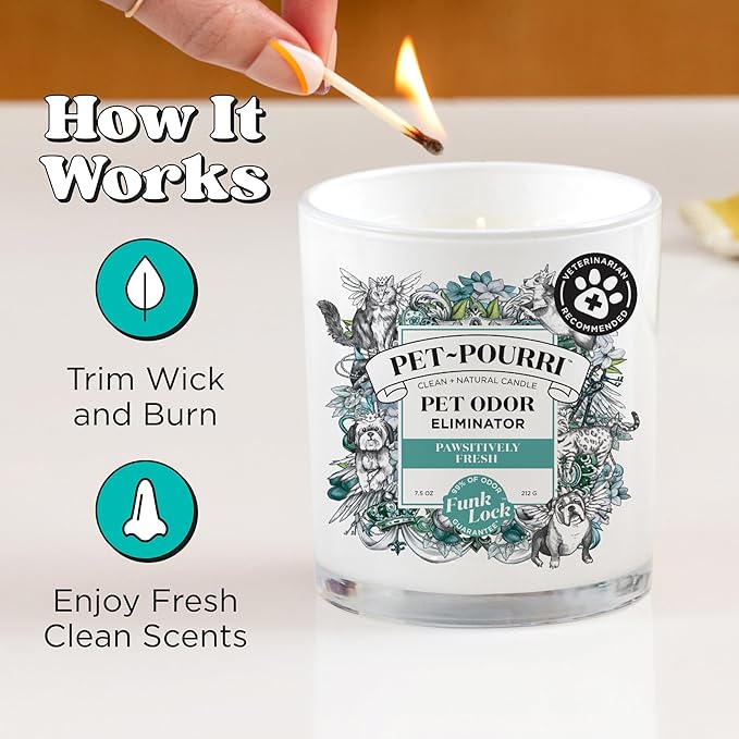 Pet-Pourri Pawsitively Fresh Pet Deodorizer Candle – Pet Safe Plant Based Ingredients & Wax – Vet Approved – Aromatherapy & Air Freshener for Pet Odor – Scented with Pineapple, Jasmine, & Pear