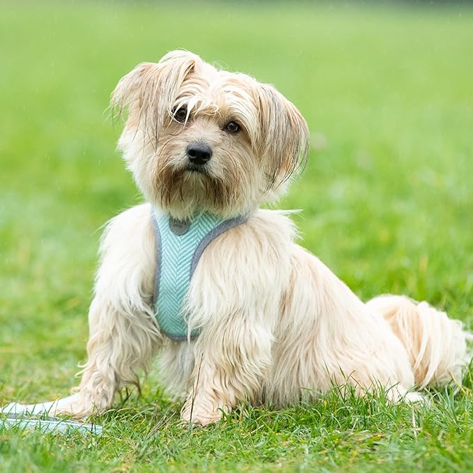 HUGO & HUDSON Dog Harness, No-Pull Anti Choke Tweed Harness Vest, Aqua Herringbone, M