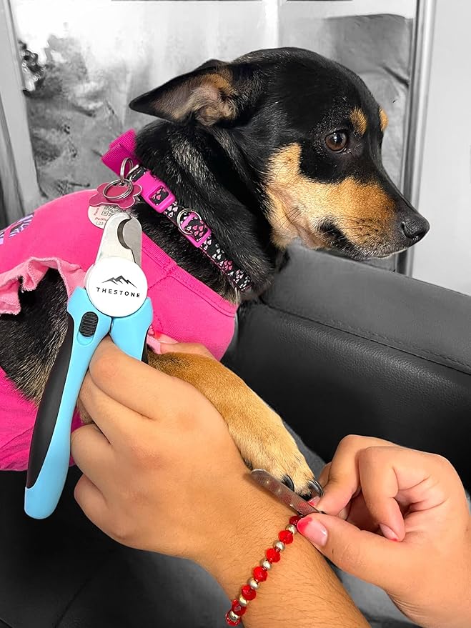 TheStone- Dog & Cat Pets Nail Clippers and Trimmers - Safety Guard to Prevent Over Cutting, Free Nail File - Nail Clipper Comes with Sharp Blade and Free Nail File