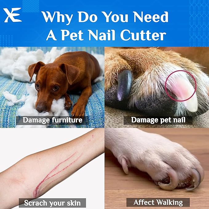 XE Stainless Steel Pet Nail Clipper – Non-Slip Handle Nail Cutter for Pets with Protection Guard, Cat and Dog Claw Trimmer with Nail File, Professional Grooming Tool for Dogs, Cats & Other Pets