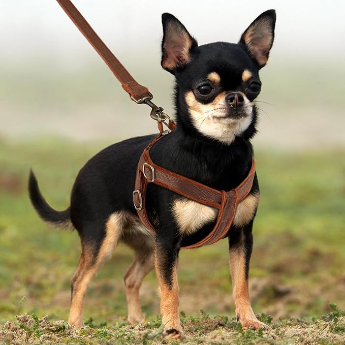 Beirui Soft Medium Dog Harness and Leash Set-Adjustable Step in Dog Harness for Medium Dogs-Easy Walk Dog Harness Medium Sized Dog-Warm No Pull Dog Harness and Leash Used in Autumn Winter(Brown,M)
