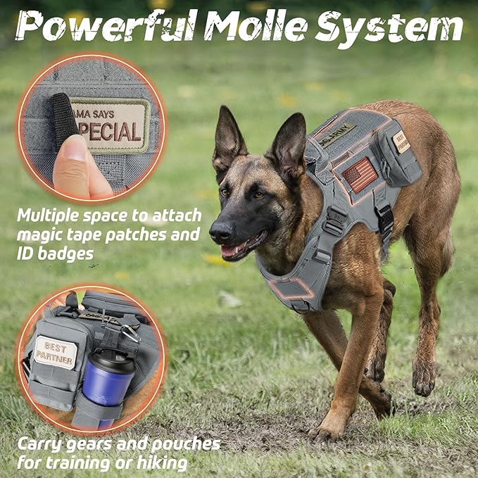 rabbitgoo Tactical Dog Harness for Large Dogs, Heavy Duty Dog Harness with Handle, No-Pull Service Dog Vest Large Breed, Adjustable Military Dog Vest Harness for Training Hunting Walking, Grey, L