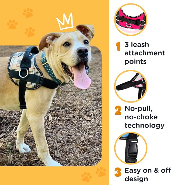 Bark Appeal Red No-Pull Dog Harness for Extra Large Sized Pets – Adjustable, Reflective Vest with 3 Leash Clips for Added Control, Easy Walks & Training – XXL