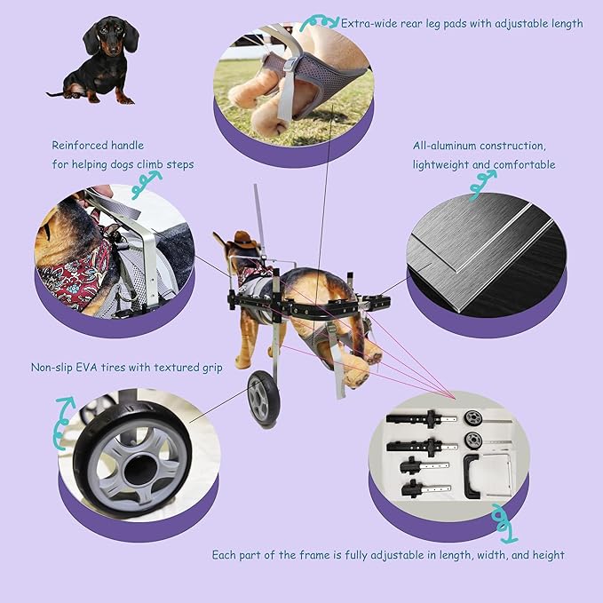 Dog Wheelchair,Lightweight Aluminum Frame with Handle,Extended Leg Straps,Includes Leash,Fits Pugs,French Bulldogs,and Schnauzers(Middle Size)/Beagle,Corgi,and Cocker Spaniel(Large Size)