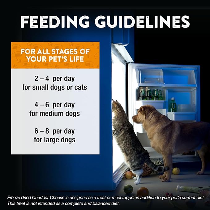 Northwest Naturals Raw Rewards Freeze-Dried Cheddar Cheese Treats for Dogs and Cats - Bite-Sized Pieces - Healthy, 1 Ingredient, Human Grade Pet Food, Natural - 6 Oz (Pack of 3)