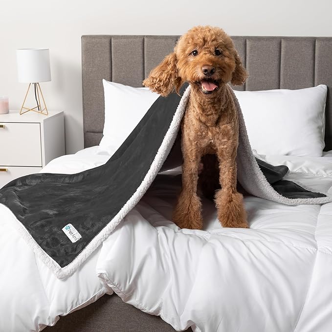 PetAmi WATERPROOF Dog Blanket for Medium Large Dog, Pet Puppy Blanket Couch Cover Protection, Sherpa Fleece Cat Blanket, Sofa Bed Furniture Protector Reversible Soft Plush Washable, 60x40 Charcoal