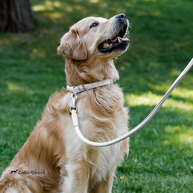 CollarDirect Rolled Leather Dog Collar, Soft Padded Round Puppy Collar, Handmade Genuine Leather Collar Dog Small Large Cat Collars 13 Colors (20-23 Inch, White Textured)