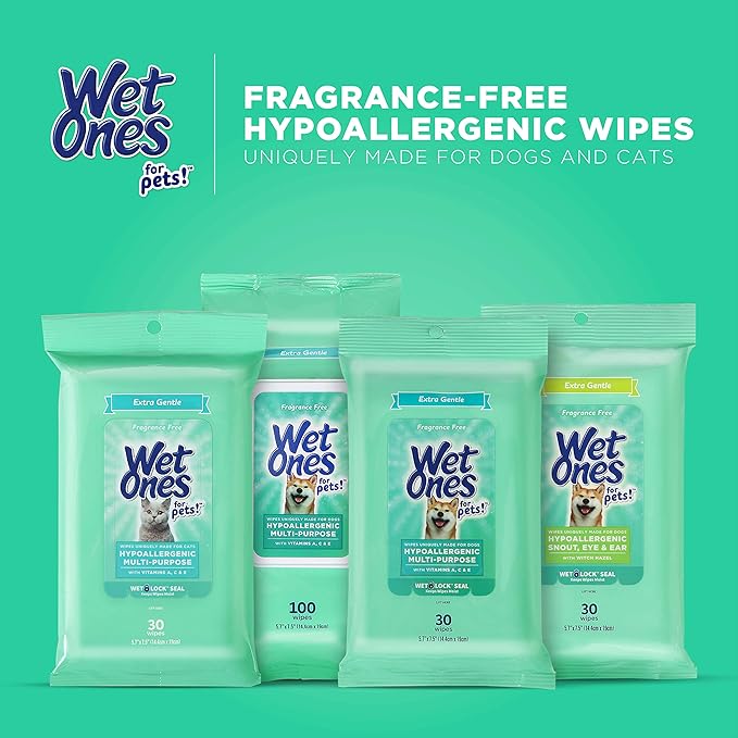 Wet Ones for Pets Hypoallergenic Multi-Purpose Dog Wipes with Vitamins A, C & E | Fragrance-Free Hypoallergenic Dog Wipes for All Dogs Wipes with Wet Lock Seal | 30 Count Pouch Dog Wipes