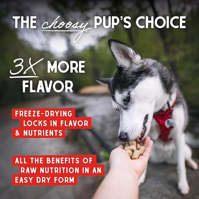 Stella & Chewy's Freeze Dried Raw Tantalizing Turkey Meal Mixer – Dog Food Topper for Small & Large Breeds – Grain Free, Protein Rich Recipe – 18 oz Bag