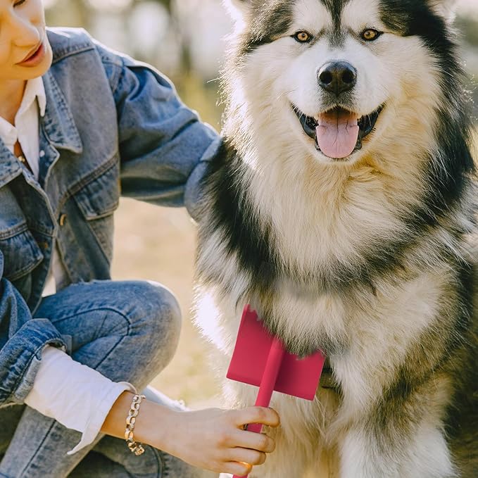 Long Pin Slicker Brush for Dogs (Goldendoodles, Labradoodles, Poodles) and Long Hair cat, Best Grooming Brush for Small Animals ,for Grooming Pet Hair, Beech Wood