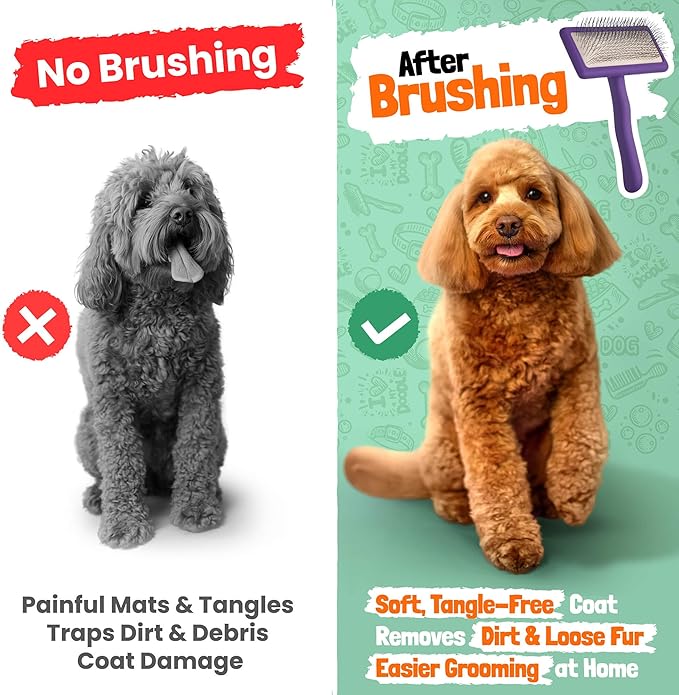Slicker Brush for Dogs - Doodle Brush - Goldendoodles Labradoodles Bernedoodles - Goldendoodle Must Haves - Poodle Comb and Cases Included - Medium - Purple