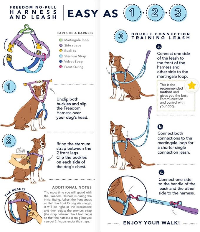2 Hounds Design Freedom No Pull Dog Harness with Leash, Adjustable Gentle Comfortable Control for Easy Dog Walking, for Small Medium and Large Dogs, Made in USA