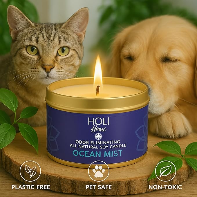 HOLI Pet Odor Eliminator Candle – Ocean Mist Scent – All Natural Soy Wax, Paraben & Phthalate Free, Pet Safe, Long-Lasting 60-Hour Burn, Non-Toxic & Plastic-Free Air Freshener for Home