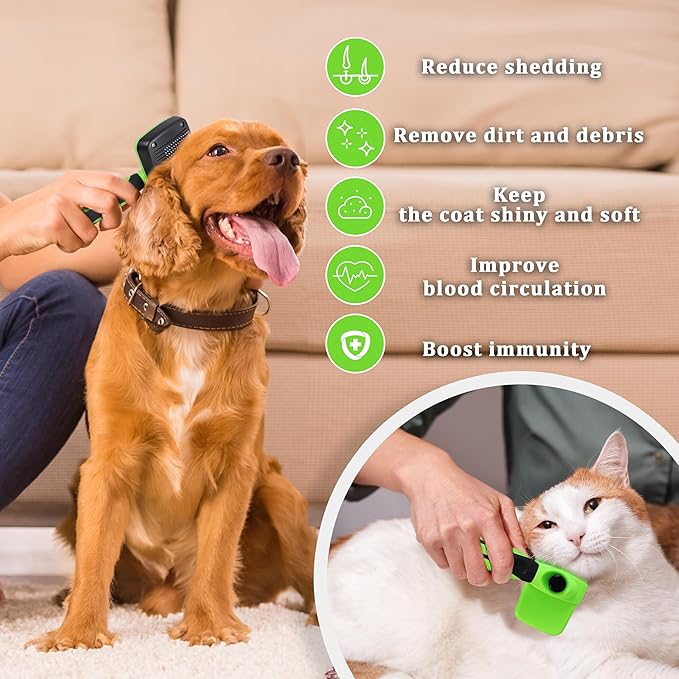Qianruida Self Cleaning Slicker Brush for Grooming Long-haired or Short-haired Cats and Dogs Pet Brush for Shedding for Removing Undercoat and Tangled Hairs, Green