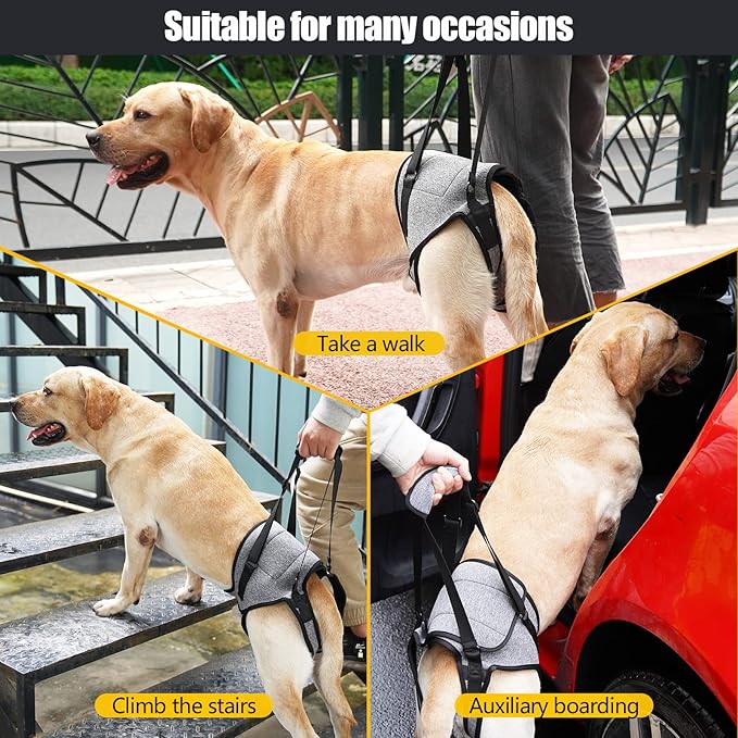 GabeFish Dog Leg Support for Back Legs, Adjustable Lift Harness for Dog, Breathable Dog Sling for Rear Legs Grey Small