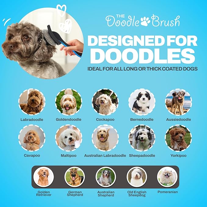 Doodle Brush Slicker Brush for Dogs - Doodle Detangler for Goldendoodle, Bernedoodle, Cockapoo, Cavapoo - Dog Brushes for Grooming & Dematting - Dog Grooming Brushes - Poodle Pin - Extra Long Pin