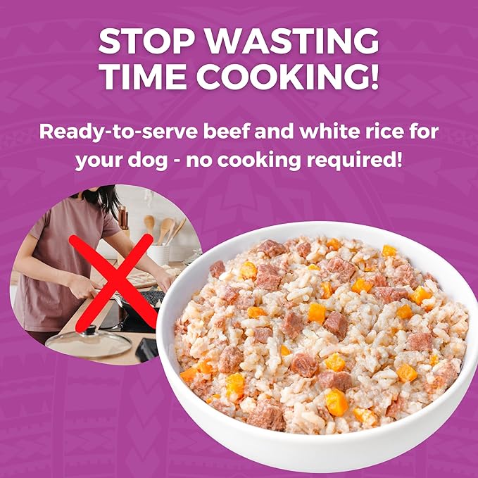 KOHA Limited Ingredient Bland Diet for Dogs, Beef and White Rice Recipe Sensitive Stomach Wet Dog Food, Gentle Formula Easy to Digest Bland Diet Dog Food, Pack of 6