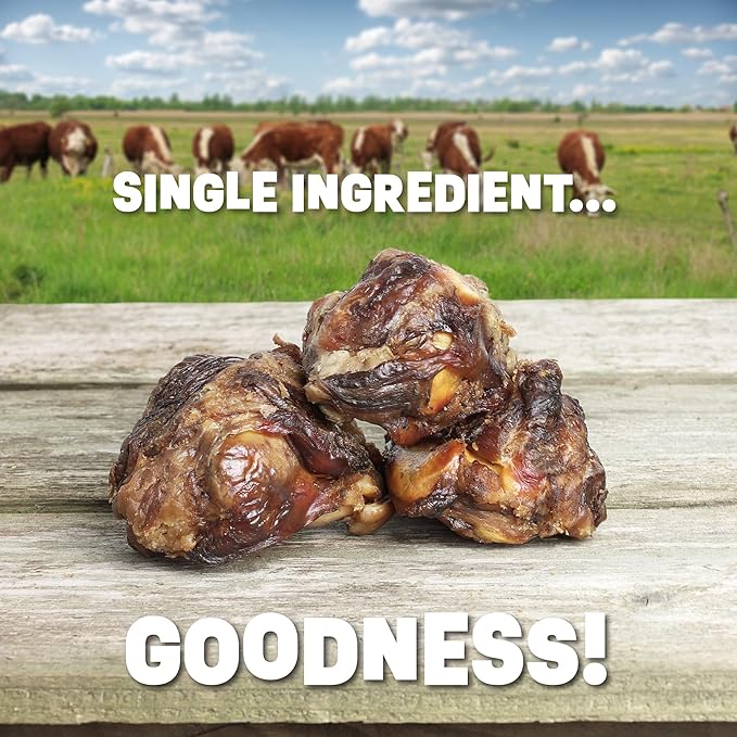 Single Ingredient Dog Bone Made in USA - Beef Knee Caps - 100% Natural Dog Bones for Aggressive Chewers - from USDA Inspected Beef - Hickory Smoked - Individually Wrapped (3 Piece Pack)