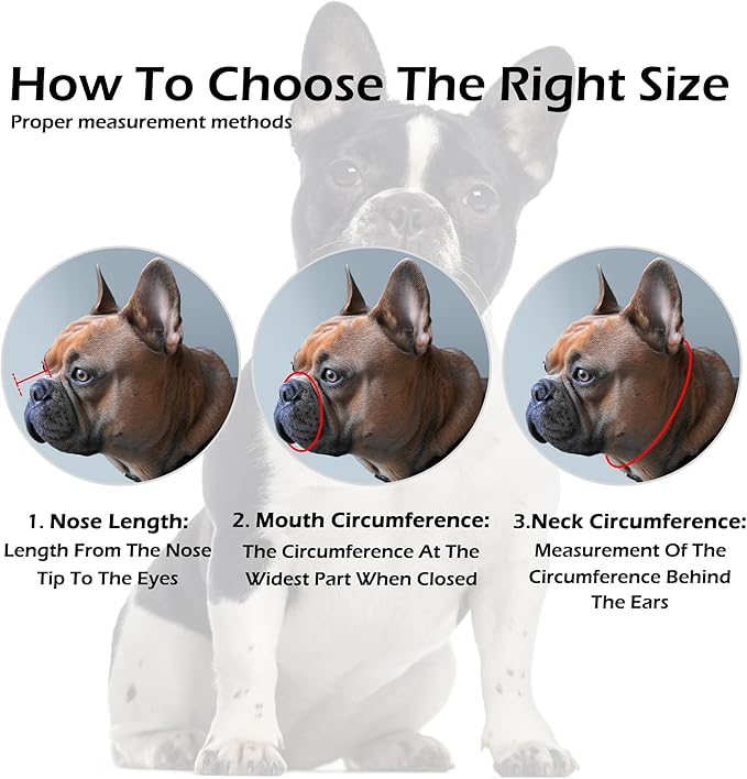 OOPSDOGGY French Bulldog Dog Muzzle for Short Snout Dog - Leather Breathable Secure Basket Muzzle for Frenchie Prevents Biting No Chewing Adjustable (Brown, Size 2 - French Bulldog)