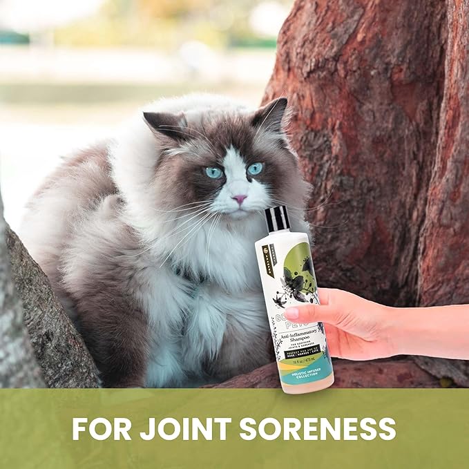 Holistic Natural Anti-Inflammatory Pet Shampoo: Veterinarian Recommended: Soothing Joints & Soreness for Dogs, Cats and Horses - Made in USA - 16 oz