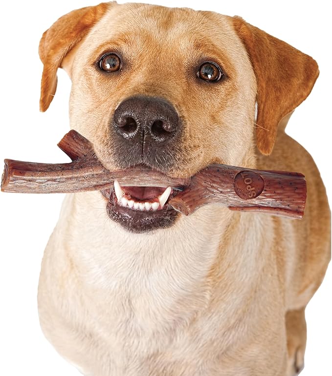 SPOT Bam-bones PLUS Branch -Bamboo Fiber & Nylon, Durable Long Lasting Dog Chew for Aggressive Chewers – Great Toy for Adult Dogs & Teething Puppies under 90lbs, Non-Splintering, 9.5in, Beef Flavor