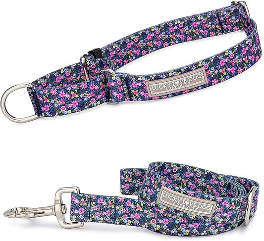 Lucky Love Dog Martingale Collar and Leash Set, Premium No Slip Collar for Small Dogs, Flower Martingale Collar for Girl Dogs, Great for Whippets, Greyhounds, and More (Primrose, Small - Combo)