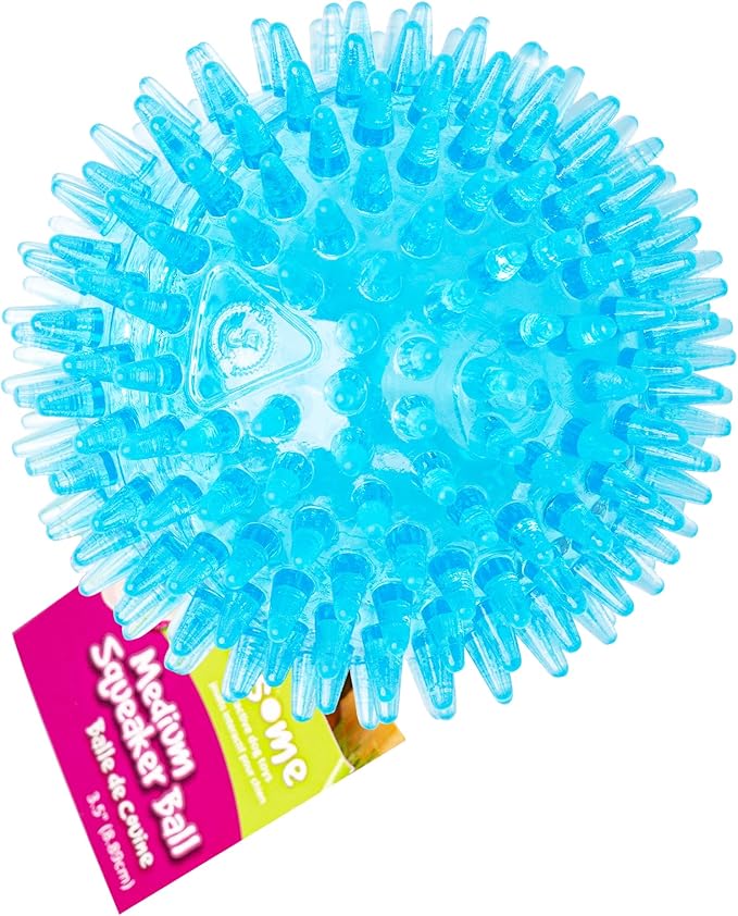 Gnawsome Medium Squeaker Ball Dog Toy, Medium 3.5", Colors will vary, All Breed Sizes