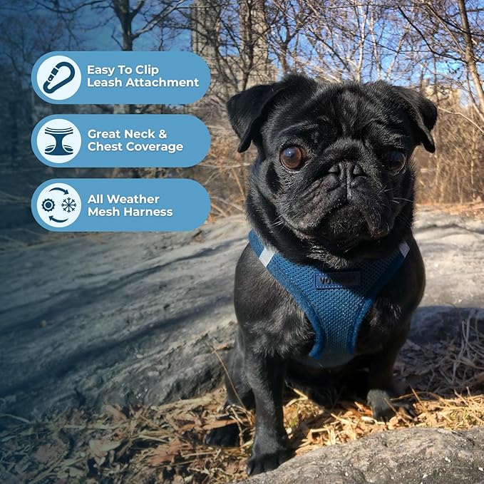 Voyager Step-in Air Dog Harness - All Weather Mesh, Reflective, No Pull Harness for Small, Medium Dogs, Cats - Secure with Hook & Loop Fastener, Buckle, Double D-Rings - Blue, XL