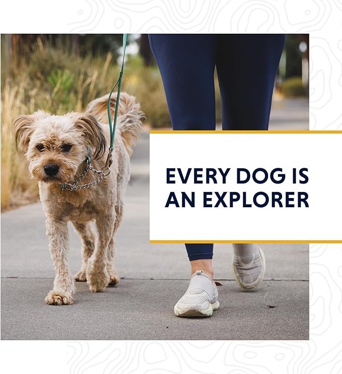 Ruffwear, Chain Reaction Dog Collar, Martingale Style for On-Leash Walking, Blue Pool, 20"-26"