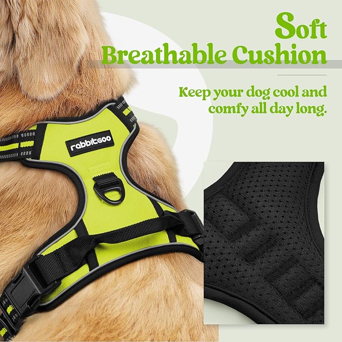 rabbitgoo Dog Harness, No-Pull Pet Harness with 2 Leash Clips, Adjustable Soft Padded Dog Vest, Reflective No-Choke Pet Oxford Vest with Easy Control Handle for Small Dogs, Wild Lime,S