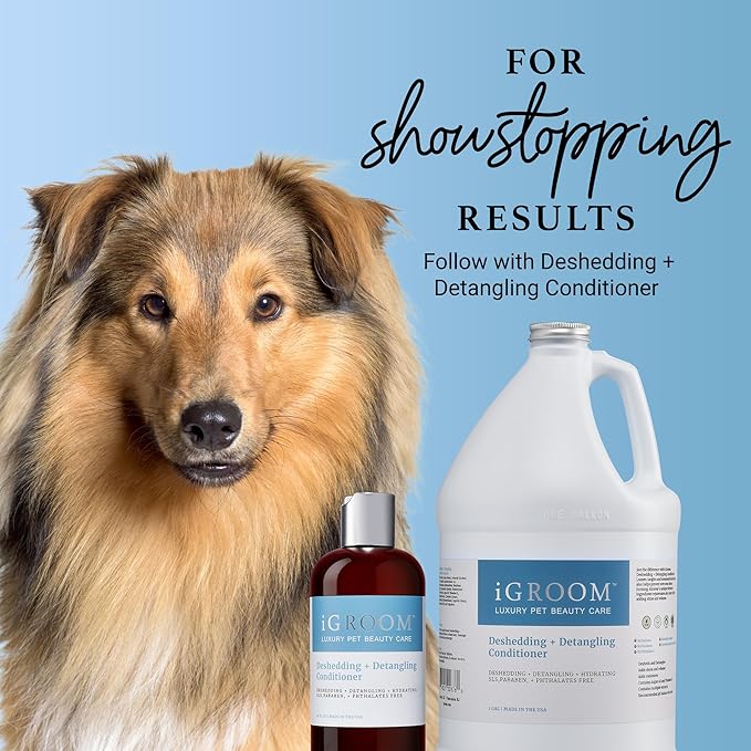 iGroom Deshedding & Detangling Dog Shampoo, Luxury Pet Beauty Care, Loosen Tangles + Unwanted Undercoat, Adds Shine + Volume, Made in USA (16 OZ)