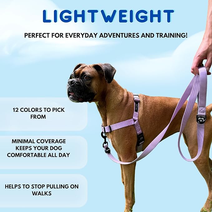 ShawnCo Dream Walk No-Pull Dog Harness- Adjustable, Comfortable, Easy to Use Pet Halter to Help Stop Pulling for Small, Medium and Large Dogs (Oceanic Blue, XS)