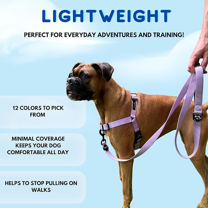 ShawnCo Dream Walk No-Pull Dog Harness- Adjustable, Comfortable, Easy to Use Pet Halter to Help Stop Pulling for Small, Medium and Large Dogs (Sunset Orange, L)