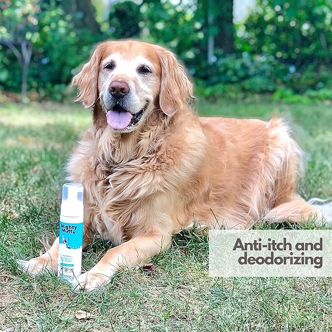 Mighty Mutt Hypoallergenic Waterless Shampoo for Dogs | Dry Shampoo for Dogs | Waterless Foam No Rinse | Anti-Itch, Soothing and Deodorizing | Fresh Breeze | 8 Fl Oz