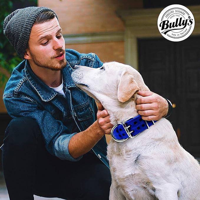 Pit Bull Collar, Dog Collar for Large Dogs, Heavy Duty Nylon, Stainless Steel Hardware (Medium, Sapphire Blue)