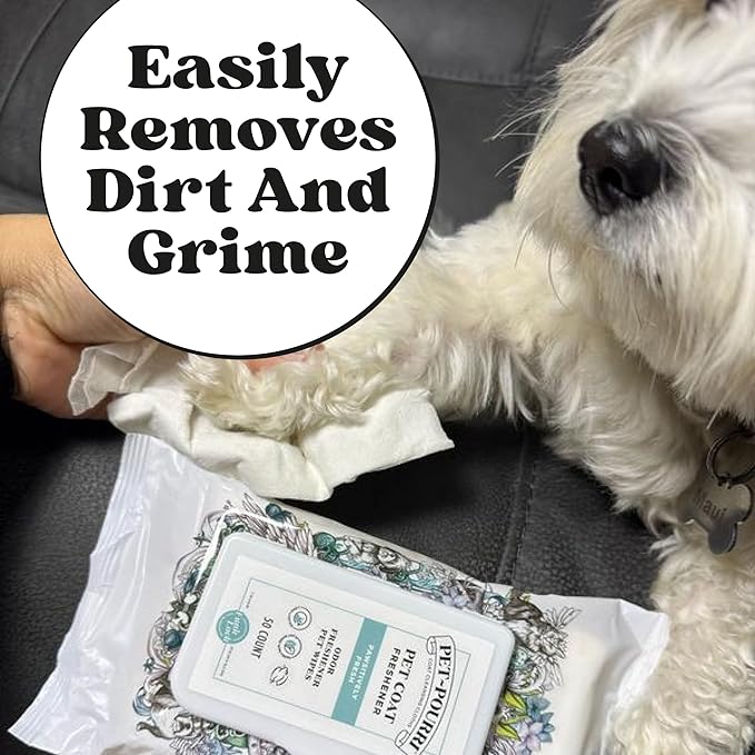 Pet-Pourri Pawsitively Fresh Deodorizing Pet Wipes – Quick Cleaning Wipes for Dogs & Cats – Plant Based Ingredients – Vet Recommended – Cleaner Odor Remover Wipes for Paw, Fur & Skin Soothing