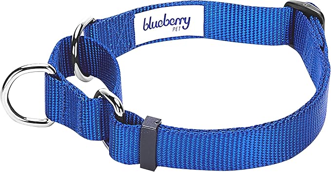 Blueberry Pet Essentials Martingale Safety Training Dog Collar, Royal Blue, Small, Heavy Duty Nylon Adjustable Collars for Dogs