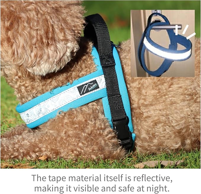 【Hakusan】 New Just Fit Dog Harness Dragon - Reflective, Paisley, Stress-Free, Japanese Made,one-Touch Buckles,Easily Put on,(Red×Black, 2)