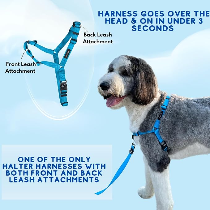 ShawnCo Dream Walk No-Pull Dog Harness- Adjustable, Comfortable, Easy to Use Pet Halter to Help Stop Pulling for Small, Medium and Large Dogs (Oceanic Blue, XS)