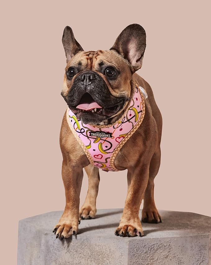 Ruffhaus NYC Pink Sprinkles Reversible Dog Harness, Ice Cream Waffle Cone, Banana Split Printed No Pull Harness Puppy Gift Girl Dog Birthday & Gotcha Day Medium