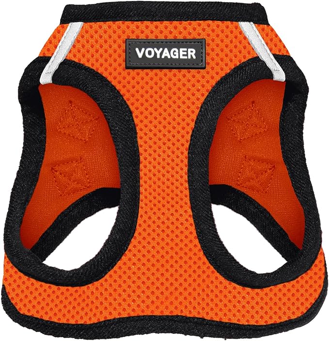 Voyager Step-in Air Dog Harness - All Weather Mesh, Reflective, No Pull Harness for Small, Medium Dogs, Cats - Secure with Hook & Loop Fastener, Buckle, Double D-Rings - Orange/Black Trim, S