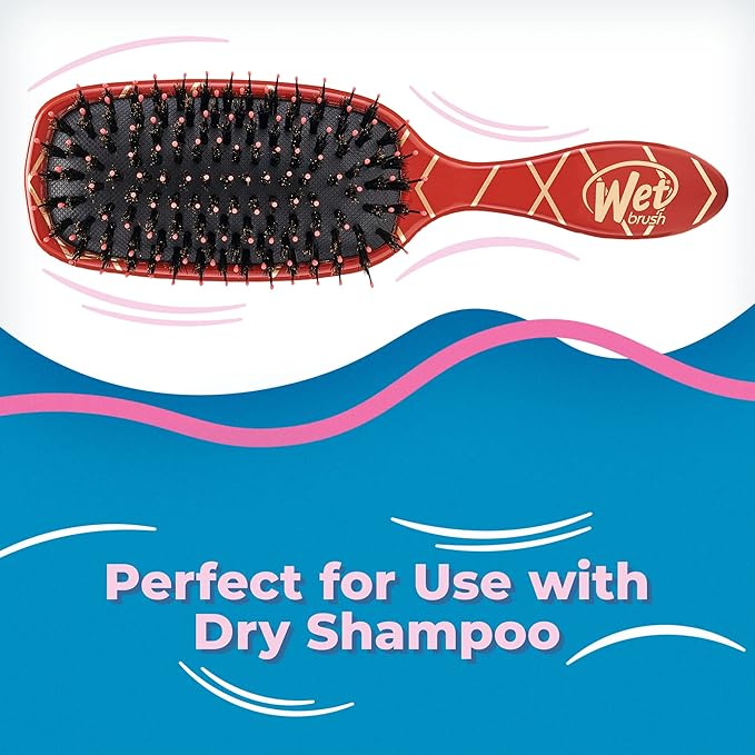 Wet Brush Shine Enhancer Paddle Brush, Terracotta - Hair Detangler Brush with Ultra Soft Bristles, Infused With Natural Argan Oil, Shiny Detangle & Smooth Hair, Wet or Dry, For All Hair Types