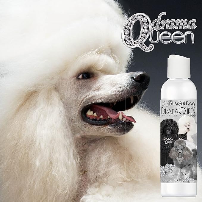 The Blissful Dog Poodle Drama Queen Dog Shampoo, 8 oz.