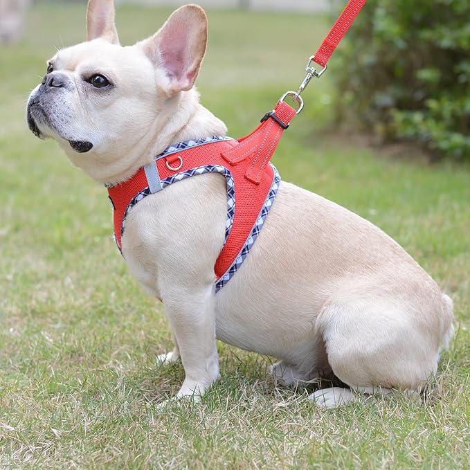Mercano Soft Mesh Dog Harness and Leash Set, No-Chock Step-in Reflective Breathable Lightweight Easy Walk Escape Proof Vest Harnesses with Safety Buckle for Small Medium Dogs, Cats (Red, XS)