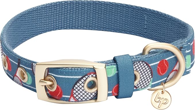 Blueberry Pet 5 Patterns Sports Fan Tennis Canvas Adjustable Dog Collar with Metal Buckle - Teal Blue, Neck 13-16.5", for Medium Breed