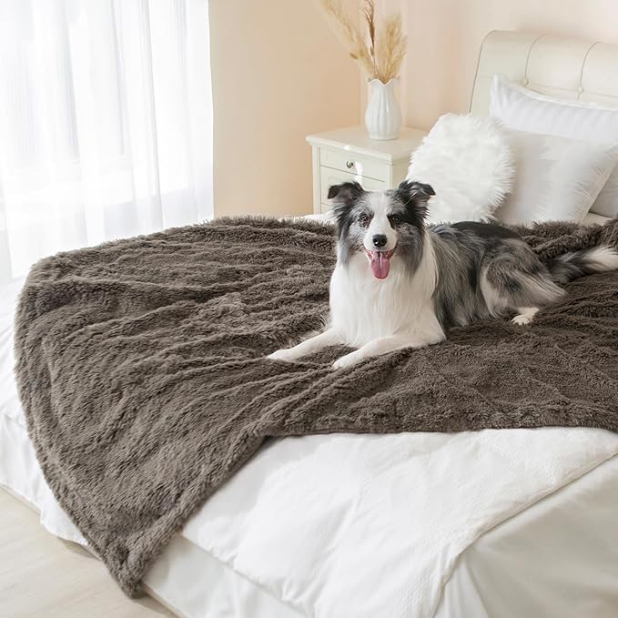 gogobunny Waterproof Plush Long Faux Fur Pet Throw Blanket Ultra Soft Fluffy Bed Couch Cover Washable - Premium Flannel Calming Blankets for Dog Puppy Cat (60x80 Inch (Pack of 1), Stone)