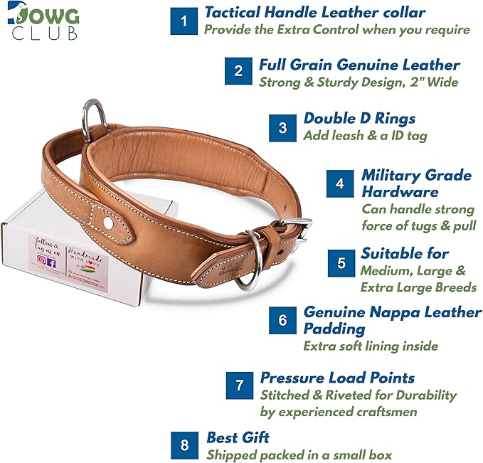 Leather Dog Collar with Handle, 2 Inch Wide Saddle Grade Brown Leather Dog Collar for Extra Large Dogs | Heavy Duty, Comfortable, Inner Soft Padded | (XL (Fit Neck Size 22"-26"), Light Brown)