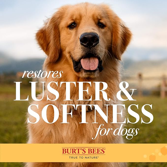BURT'S BEES FOR PETS Brown Oblong Double Sided Dog Brush - All Hair Types, Unisex, 0.2 lbs, Hemp Bristle for Detangling, Shedding Rake for Mats Removal